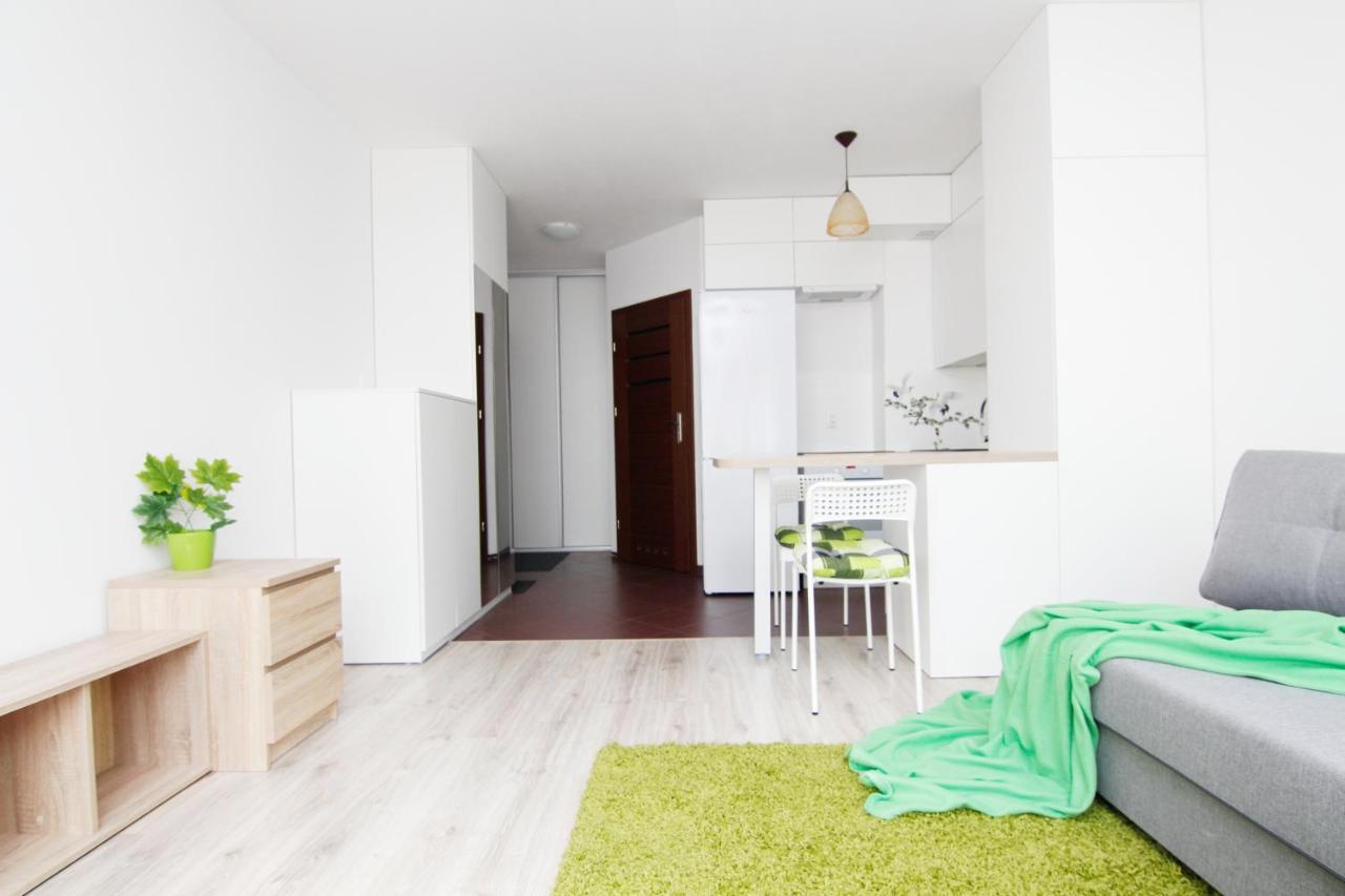 Blue River - Klimasa - Taras - Private Apartment Βρότσλαβ Εξωτερικό φωτογραφία